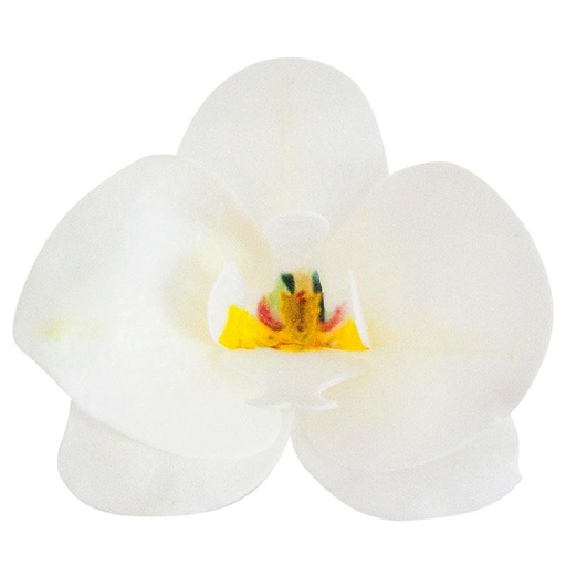 [08041896] DEK WITTE ORCHIDEE HOSTIE 10 STUKKEN