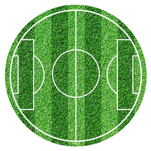 [08041701] 20CM FOOTBALL FIELD SUGAR DISC