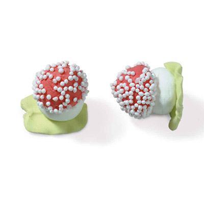 [08031320] 1051320 CHAMPIGNONS EN SUCRE 2,7CM 144PCES