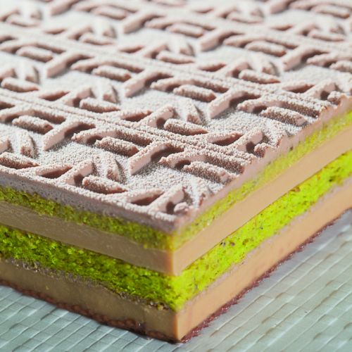 [51657339] FLEXIPAT DEMARLE 555X360MM H20MM=STUK EURO NORME