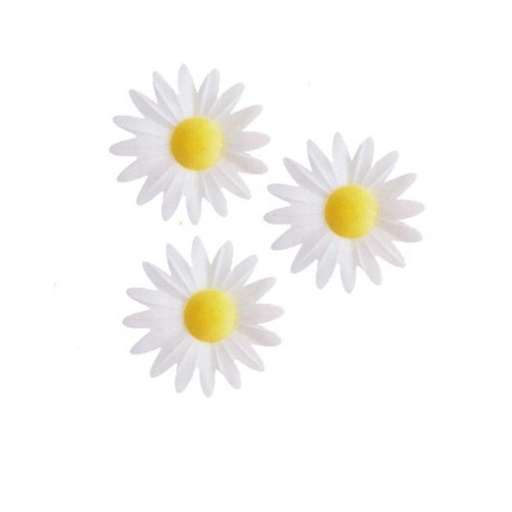 [70407020] M01 WHITE DAISY WAFER 45MM 100PCS