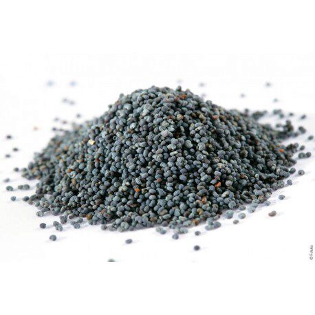 [08010058] POPPY SEEDS 1KG
