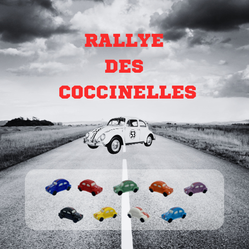 [60229112] SANTONS 100PCS "RALLYE DES COCCINELLES"  **FS**