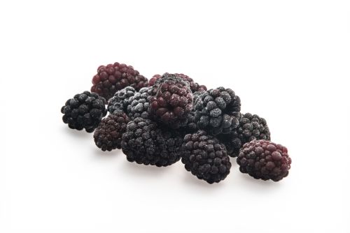 [01030306] ❄️DIRAFROST MURE CULTIVEE 1KG