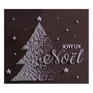 [08057252] 065051 PCB RECHTHOEKEN CN MET RELIËF  JOYEUX NOËL 5,1X4,5 CM 48ST ***s/cd***