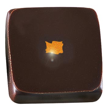 [08057034] 061195 PCB FEUILLES IMPRIMÉES SCINTILLANTES ECLATOR 4X4 CM 1500PCES ***S/CD***