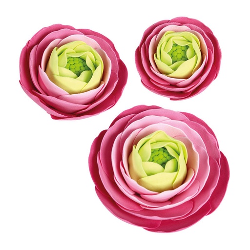 [08081238] *FF*1066030 ASS RENONCULES FANTÉSIE ROSE 27PCES ***S/CDE***