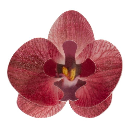 [08041066] ORCHID BORDEAUX 75X85MM WAFER 10 PCES