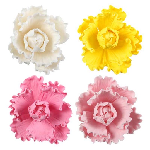 [08074234] *FF*1066057 PIVOINE ASS 16PCES ***S/CDE***