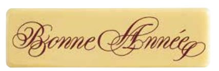 [08056715] 060462 PCB RECHTHOEKEN CB BONNE ANNÉE 7X2 CM 55STUKS***S/CD***