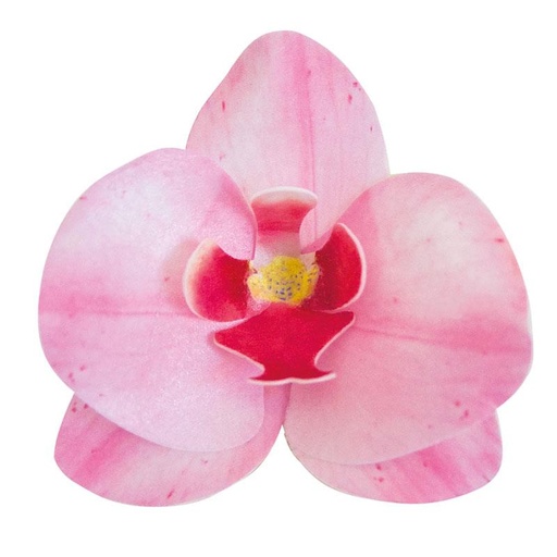 [08041884] DEK ROZE ORCHIDEE AZYME 10 STUKKEN