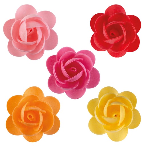[08034290] *FF*1049008 ROSES ANDREA 5CM 100PCES***S/CD***