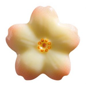 [08057910] 074222 PCB KERSENBLOESEM PAG ROZE 3 CM 176STUKS ***S/CD***