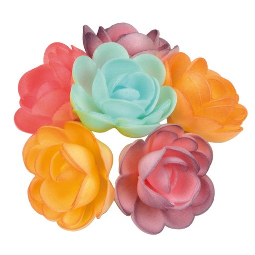 [08050324] RGN500 GROOT ROOS HOSTIE 50MM PASTEL KLEURVERLOOP 36 STUKKEN
