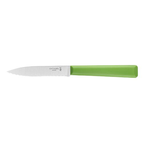 [54917663] OPINEL N°313 LES ESSENTIELS+ GEKARTELD MES ROESTVRIJ STAAL/GROEN POLYMEER