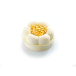 [08057752] 074059 PCB MOULES ENTREMETS INDIVIDUELS PETITE TARTE FLEUR POUR 120 P. M.AVEC JAMBAGE 30PCES ***S/CD***
