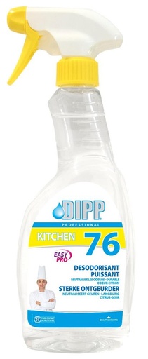 [20040038] DIPP 76 DESODORISANT SURPUISSANT 500ML
