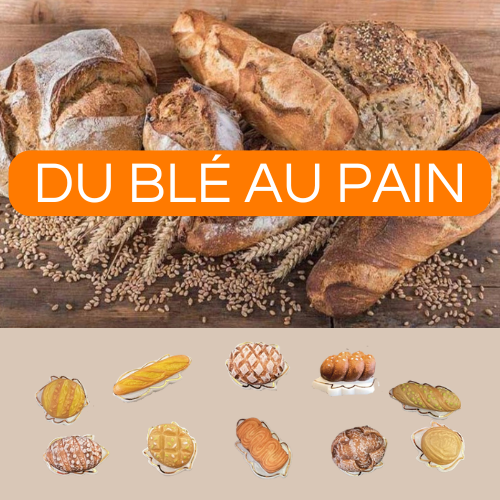 [60229104] SANTONS 100PCS "DU BLE AU PAIN"  ***NEW 2025***