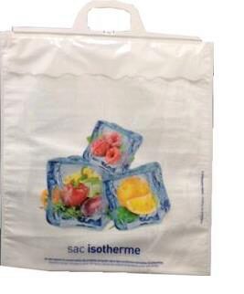 [70410570] 20 L INSULATED BAG WITH WHITE HANDLE 45X50CM