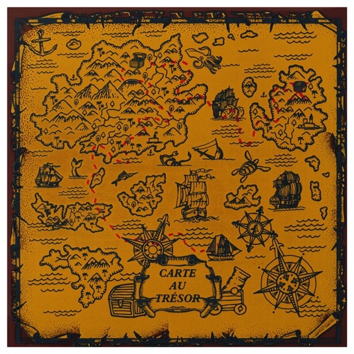 [08058195] 088179 PCB BEDRUKTE VELLEN SCHATKAART VOOR VIERKANTE KAARTEN EN TAS 24 STUKS ***OP BESTELLING***