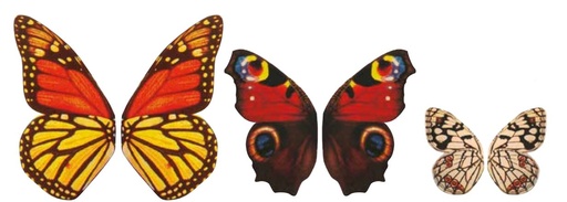 [08057126] 061301 PCB VLINDERVLEUGELS CB 10 ONTWERPEN 220 STUKS ***S/CD***