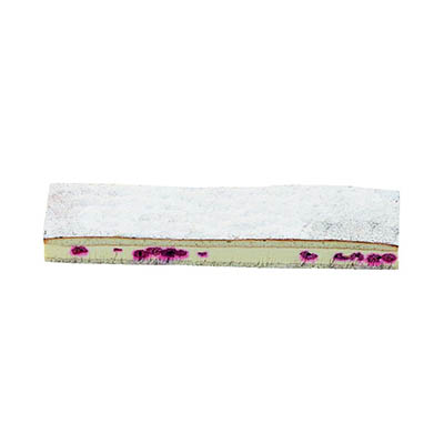 [02040135] VAMIX B252 BANDE DE BAVAROIS MACARON AUX FRAMBOISES 36X8CM 700GR