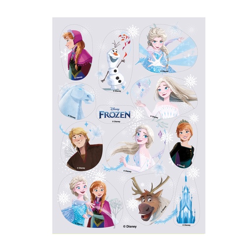 [08041916] 12 FROZEN DECORS 2 WAFERS OM TE SNIJDEN