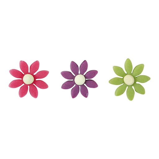 [08081091] 61000 MARGRIETEN ZOMERKLEUREN MEDIUM 192 STUKKEN = DOOS