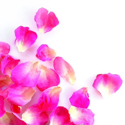 [08058139] 088209 PCB SMALL FREEZE-DRIED ROSE PETALS BRIGHT PINK 2GR ***ON/ORDER***