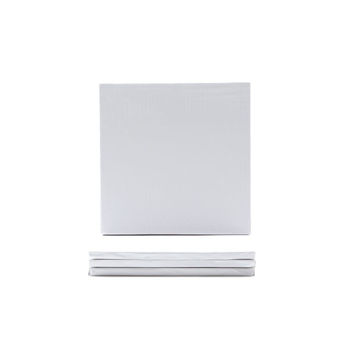 [08054366] 1030389 PLATEAU BLANC 30CM  CARRE