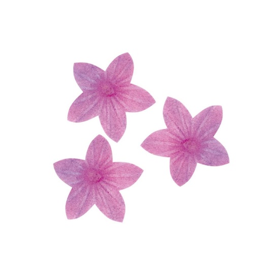 [08041001] 126068 DEK LILAC BLOEM HOSTIE PAARS 400 STUKKEN=DOOS