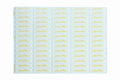 [08057169] 061347 PCB BLISTERS RECTANGLES JOYEUSES PÂQUES SOIT 140 EMPR.7X1,5 CM 2PCES ***S/CD***